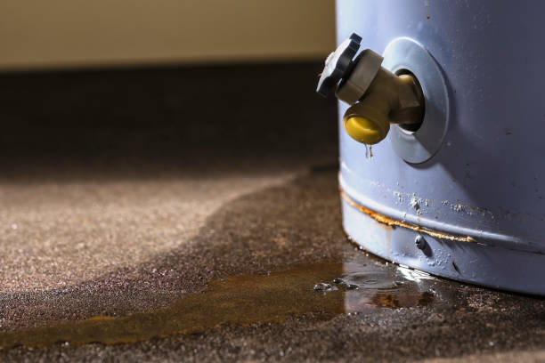 Best Basement water damage restoration  in Nahunta, GA