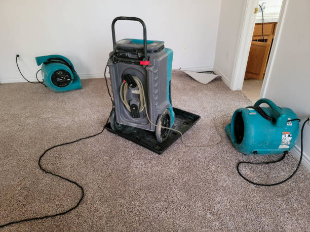 Best Professional water damage repair  in Nahunta, GA