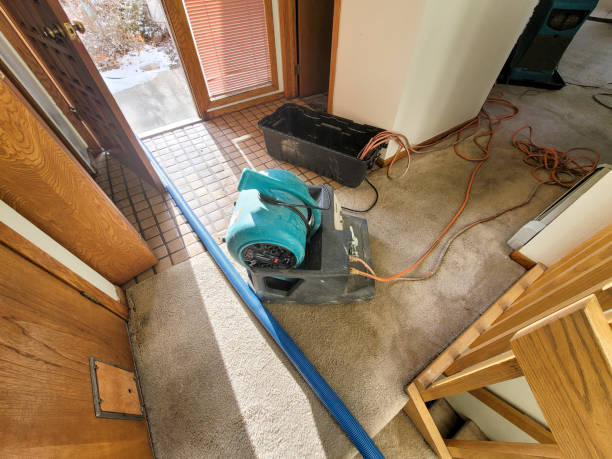 Water damage restoration mold remediation in GA