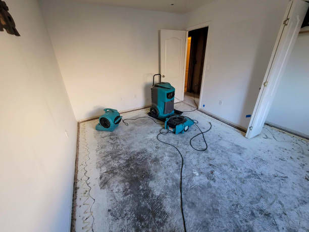 Best Water damage cleanup near me  in Nahunta, GA