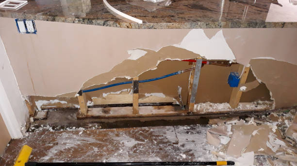 Best Water damage restoration process  in Nahunta, GA