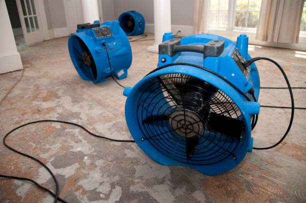 Best Sewage cleanup and water damage restoration  in Nahunta, GA