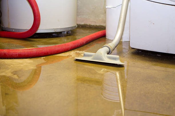 Best Flood restoration services  in Nahunta, GA