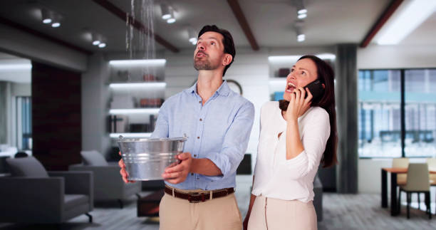 Best Mold removal after water damage  in Nahunta, GA