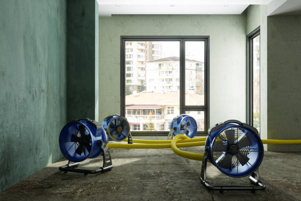 Best Emergency water damage restoration  in Nahunta, GA