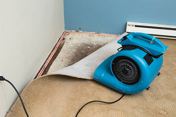Best Local water damage restoration  in Nahunta, GA